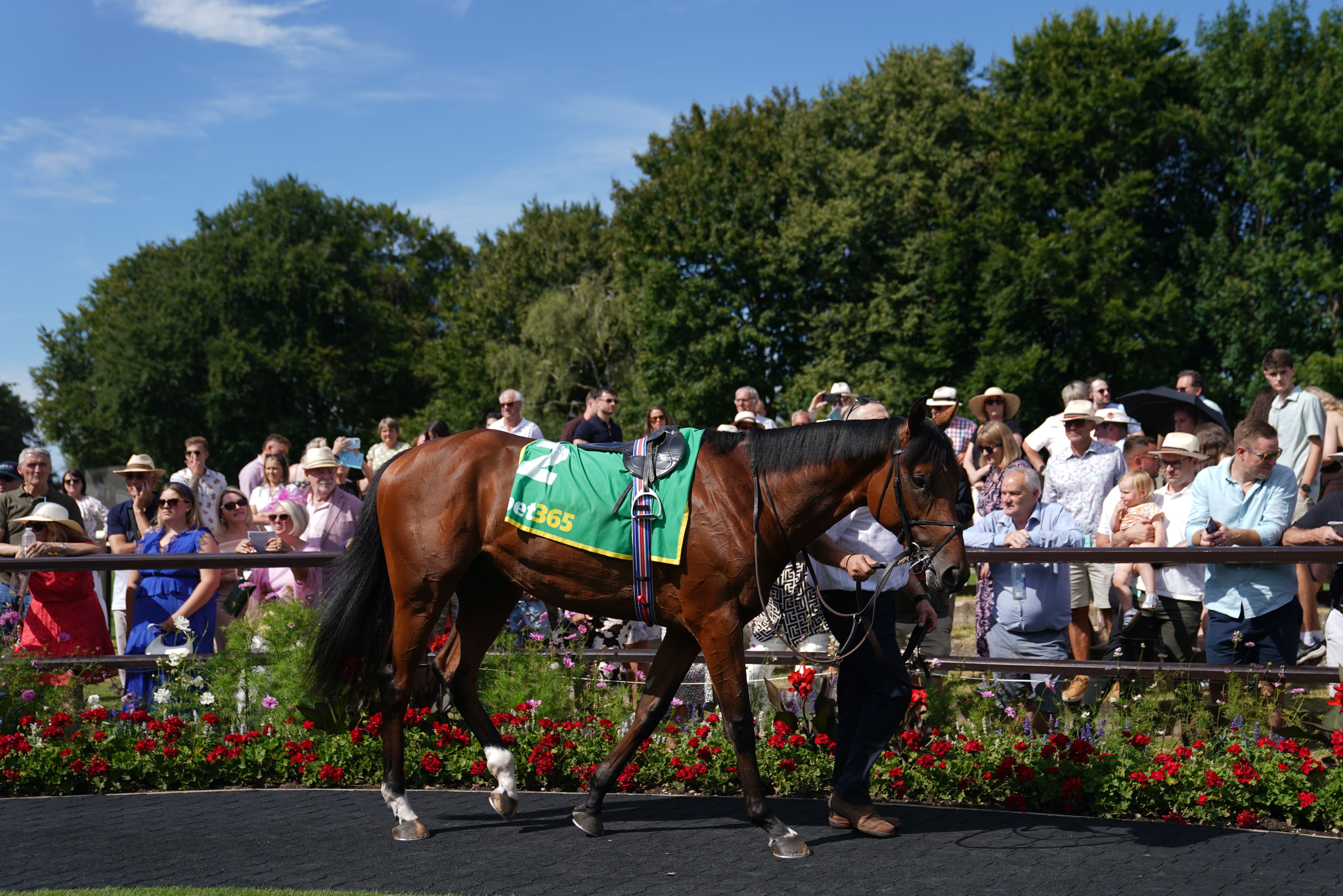 Italy in the parade ring ahead of the bet365 Superlative Stakes at Newmarket